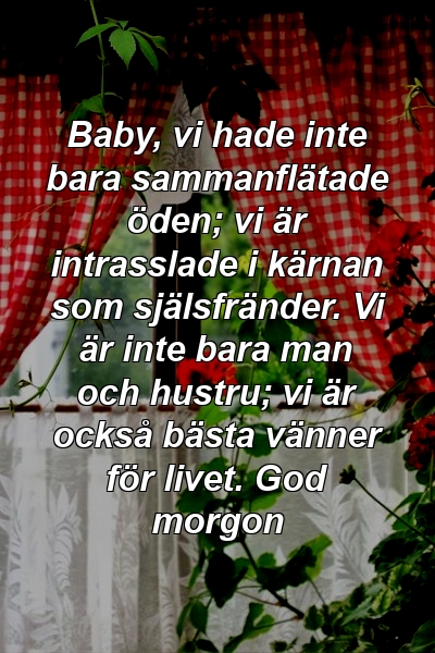 Baby, vi hade inte bara sammanflätade öden; vi är intrasslade i kärnan som själsfränder. Vi är inte bara man och hustru; vi är också bästa vänner för livet. God morgon