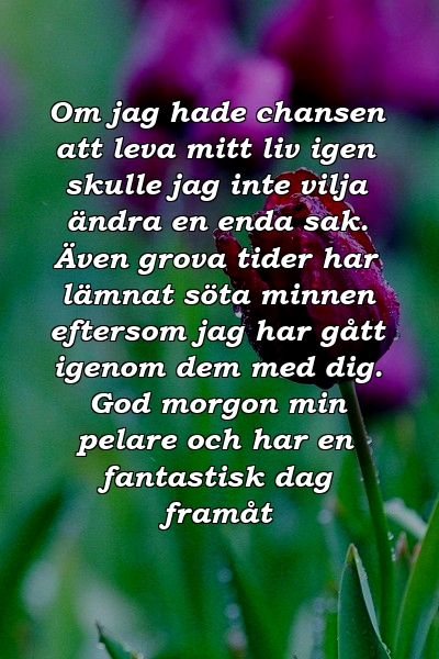 Om jag hade chansen att leva mitt liv igen skulle jag inte vilja ändra en enda sak. Även grova tider har lämnat söta minnen eftersom jag har gått igenom dem med dig. God morgon min pelare och har en fantastisk dag framåt