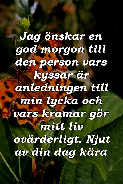 Jag önskar en god morgon till den person vars kyssar är anledningen till min lycka och vars kramar gör mitt liv ovärderligt. Njut av din dag kära