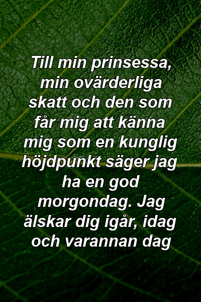 Till min prinsessa, min ovärderliga skatt och den som får mig att känna mig som en kunglig höjdpunkt säger jag ha en god morgondag. Jag älskar dig igår, idag och varannan dag