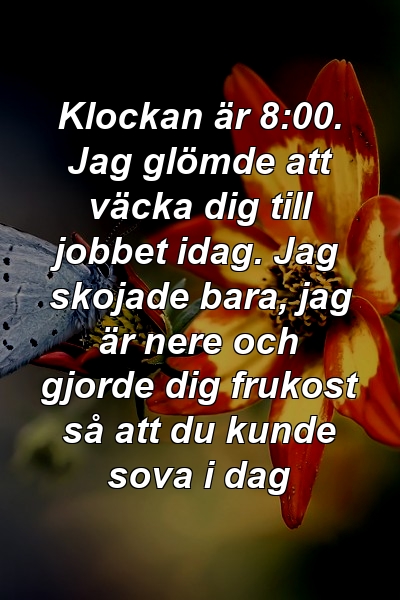 Klockan är 8:00. Jag glömde att väcka dig till jobbet idag. Jag skojade bara, jag är nere och gjorde dig frukost så att du kunde sova i dag