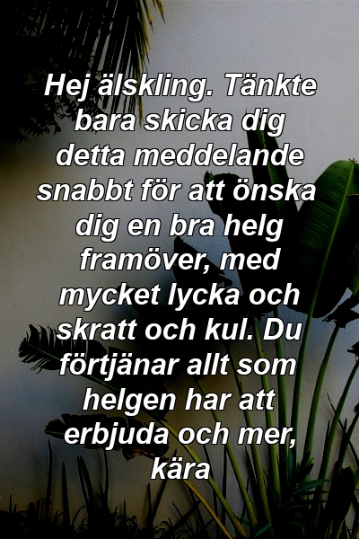 Hej älskling. Tänkte bara skicka dig detta meddelande snabbt för att önska dig en bra helg framöver, med mycket lycka och skratt och kul. Du förtjänar allt som helgen har att erbjuda och mer, kära