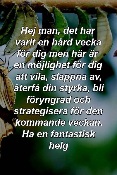 Hej man, det har varit en hård vecka för dig men här är en möjlighet för dig att vila, slappna av, återfå din styrka, bli föryngrad och strategisera för den kommande veckan. Ha en fantastisk helg