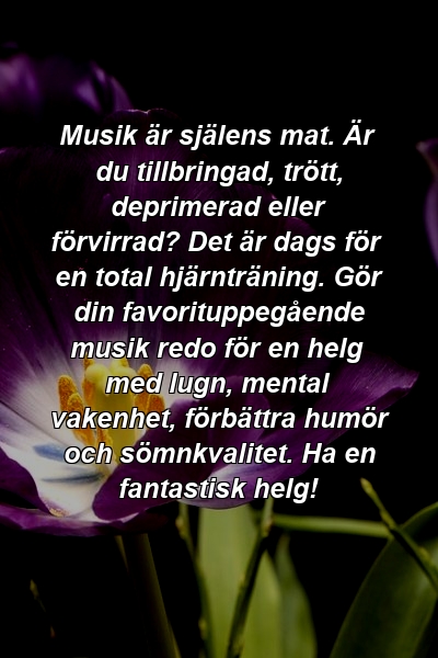 Musik är själens mat. Är du tillbringad, trött, deprimerad eller förvirrad? Det är dags för en total hjärnträning. Gör din favorituppegående musik redo för en helg med lugn, mental vakenhet, förbättra humör och sömnkvalitet. Ha en fantastisk helg!