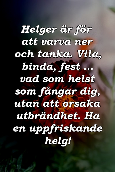 Helger är för att varva ner och tanka. Vila, binda, fest ... vad som helst som fångar dig, utan att orsaka utbrändhet. Ha en uppfriskande helg!