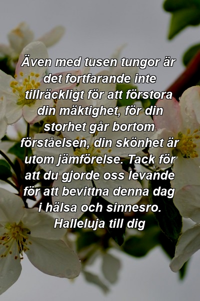 Även med tusen tungor är det fortfarande inte tillräckligt för att förstora din mäktighet, för din storhet går bortom förståelsen, din skönhet är utom jämförelse. Tack för att du gjorde oss levande för att bevittna denna dag i hälsa och sinnesro. Halleluja till dig