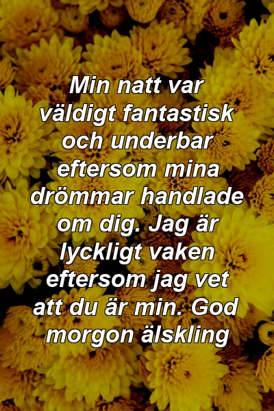 Min natt var väldigt fantastisk och underbar eftersom mina drömmar handlade om dig. Jag är lyckligt vaken eftersom jag vet att du är min. God morgon älskling