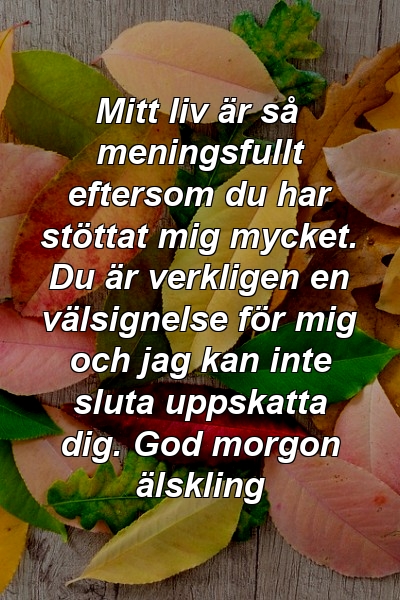 Mitt liv är så meningsfullt eftersom du har stöttat mig mycket. Du är verkligen en välsignelse för mig och jag kan inte sluta uppskatta dig. God morgon älskling