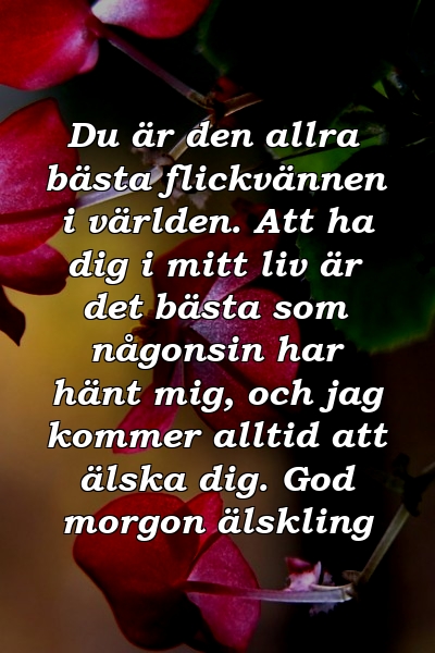 Du är den allra bästa flickvännen i världen. Att ha dig i mitt liv är det bästa som någonsin har hänt mig, och jag kommer alltid att älska dig. God morgon älskling