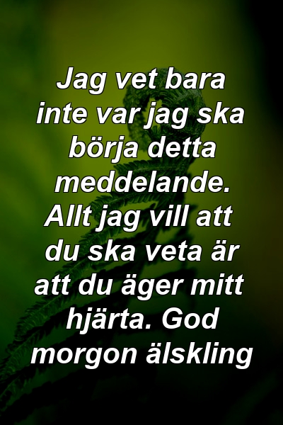 Jag vet bara inte var jag ska börja detta meddelande. Allt jag vill att du ska veta är att du äger mitt hjärta. God morgon älskling