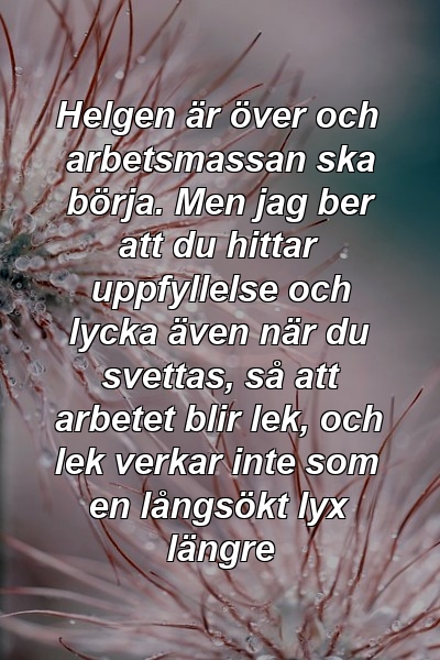 Helgen är över och arbetsmassan ska börja. Men jag ber att du hittar uppfyllelse och lycka även när du svettas, så att arbetet blir lek, och lek verkar inte som en långsökt lyx längre