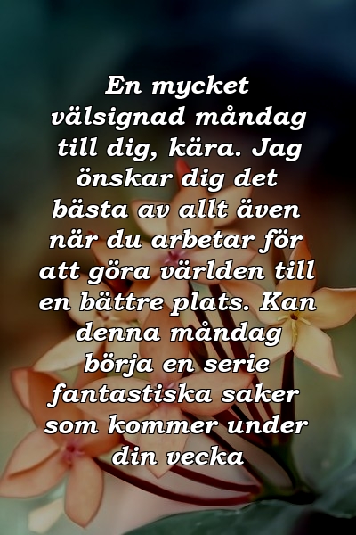 En mycket välsignad måndag till dig, kära. Jag önskar dig det bästa av allt även när du arbetar för att göra världen till en bättre plats. Kan denna måndag börja en serie fantastiska saker som kommer under din vecka