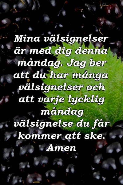 Mina välsignelser är med dig denna måndag. Jag ber att du har många välsignelser och att varje lycklig måndag välsignelse du får kommer att ske. Amen