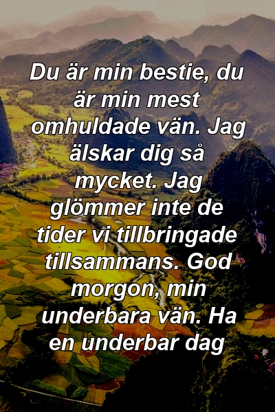 Du är min bestie, du är min mest omhuldade vän. Jag älskar dig så mycket. Jag glömmer inte de tider vi tillbringade tillsammans. God morgon, min underbara vän. Ha en underbar dag