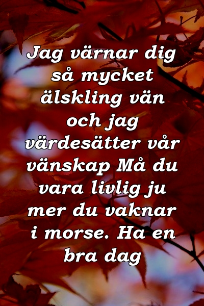 Jag värnar dig så mycket älskling vän och jag värdesätter vår vänskap Må du vara livlig ju mer du vaknar i morse. Ha en bra dag