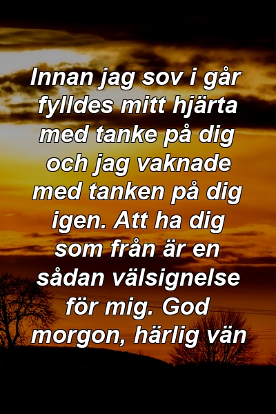 Innan jag sov i går fylldes mitt hjärta med tanke på dig och jag vaknade med tanken på dig igen. Att ha dig som från är en sådan välsignelse för mig. God morgon, härlig vän