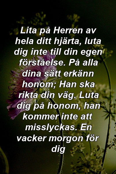 Lita på Herren av hela ditt hjärta, luta dig inte till din egen förståelse. På alla dina sätt erkänn honom; Han ska rikta din väg. Luta dig på honom, han kommer inte att misslyckas. En vacker morgon för dig