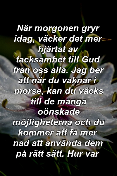 När morgonen gryr idag, väcker det mer hjärtat av tacksamhet till Gud från oss alla. Jag ber att när du vaknar i morse, kan du väcks till de många oönskade möjligheterna och du kommer att få mer nåd att använda dem på rätt sätt. Hur var