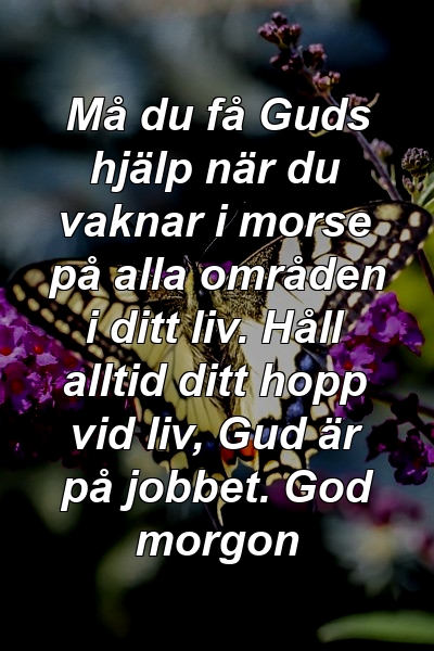 Må du få Guds hjälp när du vaknar i morse på alla områden i ditt liv. Håll alltid ditt hopp vid liv, Gud är på jobbet. God morgon