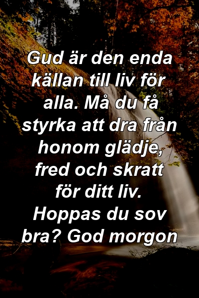 Gud är den enda källan till liv för alla. Må du få styrka att dra från honom glädje, fred och skratt för ditt liv. Hoppas du sov bra? God morgon