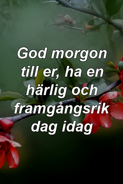 God morgon till er, ha en härlig och framgångsrik dag idag