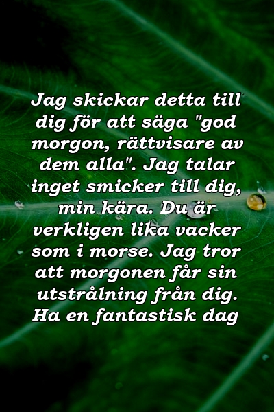 Jag skickar detta till dig för att säga "god morgon, rättvisare av dem alla". Jag talar inget smicker till dig, min kära. Du är verkligen lika vacker som i morse. Jag tror att morgonen får sin utstrålning från dig. Ha en fantastisk dag