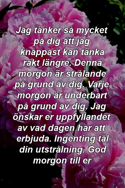 Jag tänker så mycket på dig att jag knappast kan tänka rakt längre. Denna morgon är strålande på grund av dig. Varje morgon är underbart på grund av dig. Jag önskar er uppfyllandet av vad dagen har att erbjuda. Ingenting tål din utstrålning. God morgon till er