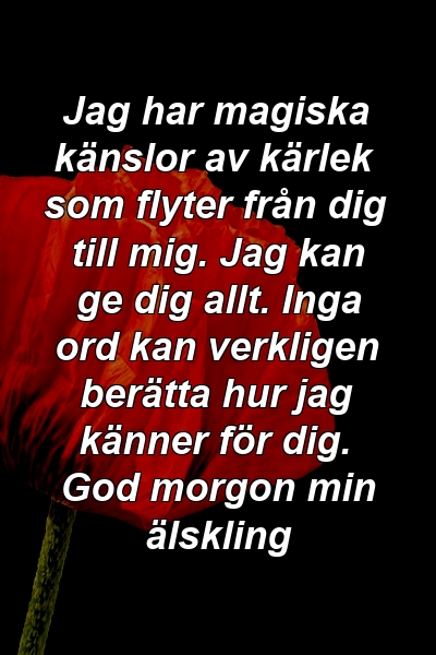 Jag har magiska känslor av kärlek som flyter från dig till mig. Jag kan ge dig allt. Inga ord kan verkligen berätta hur jag känner för dig. God morgon min älskling