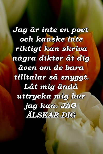 Jag är inte en poet och kanske inte riktigt kan skriva några dikter åt dig även om de bara tilltalar så snyggt. Låt mig ändå uttrycka mig hur jag kan. JAG ÄLSKAR DIG