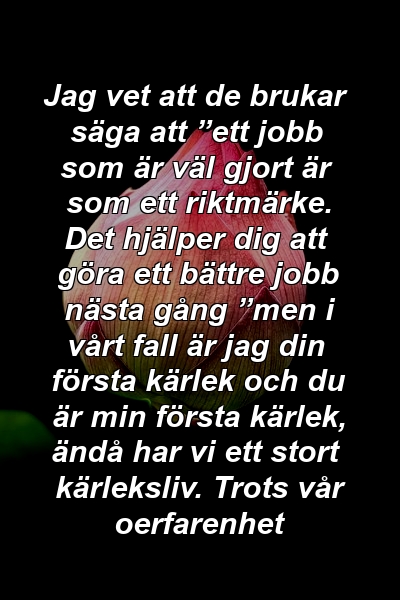 Jag vet att de brukar säga att ”ett jobb som är väl gjort är som ett riktmärke. Det hjälper dig att göra ett bättre jobb nästa gång ”men i vårt fall är jag din första kärlek och du är min första kärlek, ändå har vi ett stort kärleksliv. Trots vår oerfarenhet