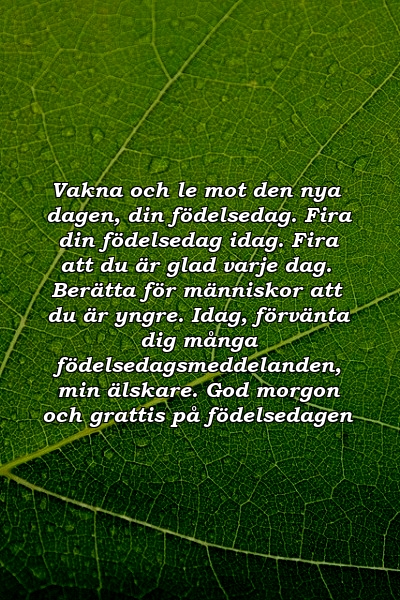 Vakna och le mot den nya dagen, din födelsedag. Fira din födelsedag idag. Fira att du är glad varje dag. Berätta för människor att du är yngre. Idag, förvänta dig många födelsedagsmeddelanden, min älskare. God morgon och grattis på födelsedagen