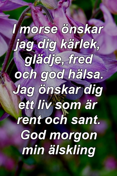 I morse önskar jag dig kärlek, glädje, fred och god hälsa. Jag önskar dig ett liv som är rent och sant. God morgon min älskling