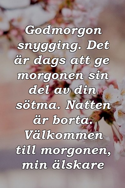 Godmorgon snygging. Det är dags att ge morgonen sin del av din sötma. Natten är borta. Välkommen till morgonen, min älskare