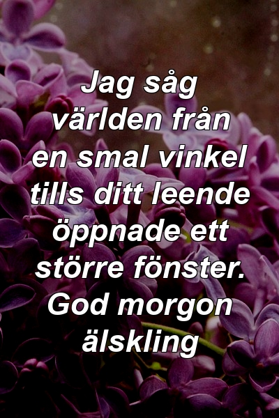 Jag såg världen från en smal vinkel tills ditt leende öppnade ett större fönster. God morgon älskling