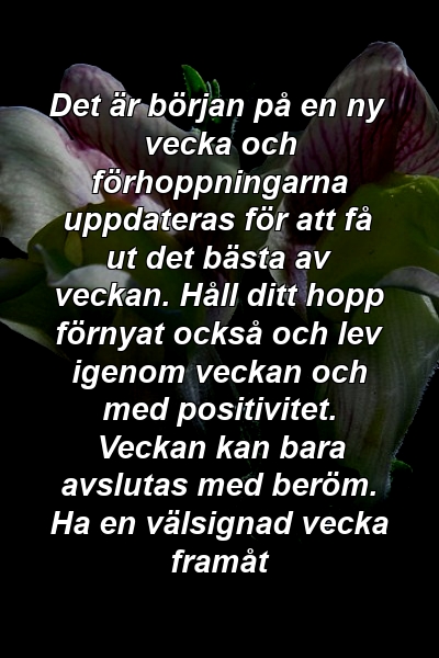 Det är början på en ny vecka och förhoppningarna uppdateras för att få ut det bästa av veckan. Håll ditt hopp förnyat också och lev igenom veckan och med positivitet. Veckan kan bara avslutas med beröm. Ha en välsignad vecka framåt