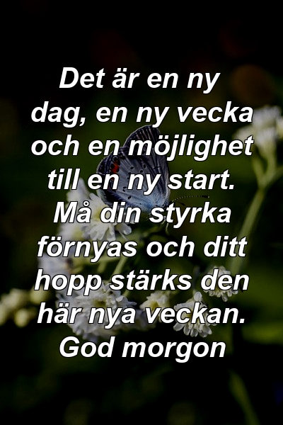 Det är en ny dag, en ny vecka och en möjlighet till en ny start. Må din styrka förnyas och ditt hopp stärks den här nya veckan. God morgon