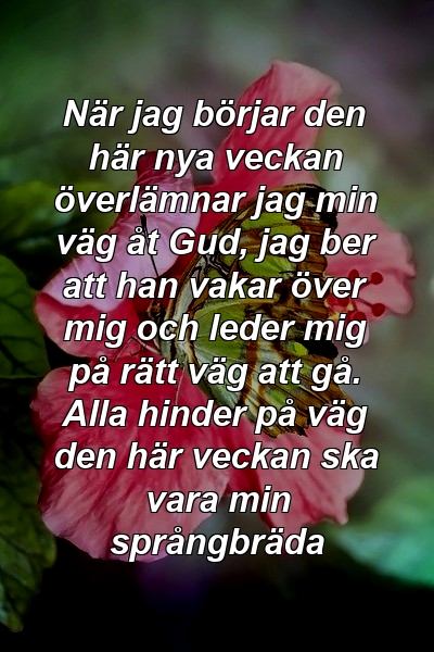 När jag börjar den här nya veckan överlämnar jag min väg åt Gud, jag ber att han vakar över mig och leder mig på rätt väg att gå. Alla hinder på väg den här veckan ska vara min språngbräda