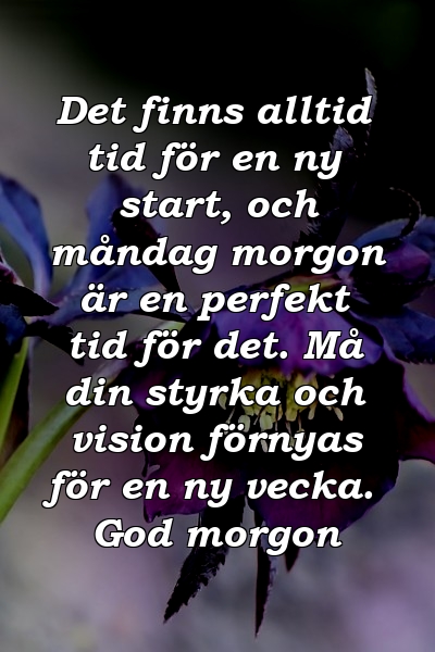 Det finns alltid tid för en ny start, och måndag morgon är en perfekt tid för det. Må din styrka och vision förnyas för en ny vecka. God morgon