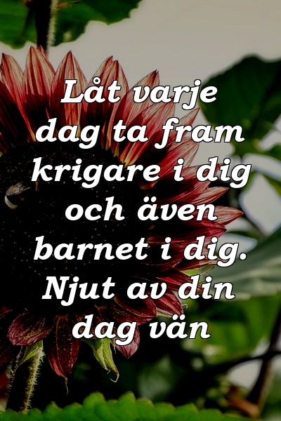 Låt varje dag ta fram krigare i dig och även barnet i dig. Njut av din dag vän