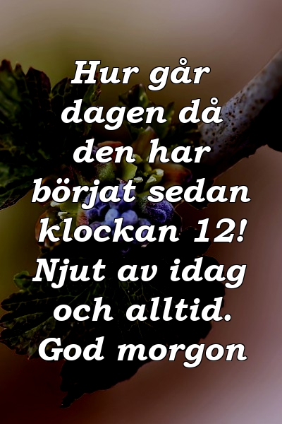 Hur går dagen då den har börjat sedan klockan 12! Njut av idag och alltid. God morgon