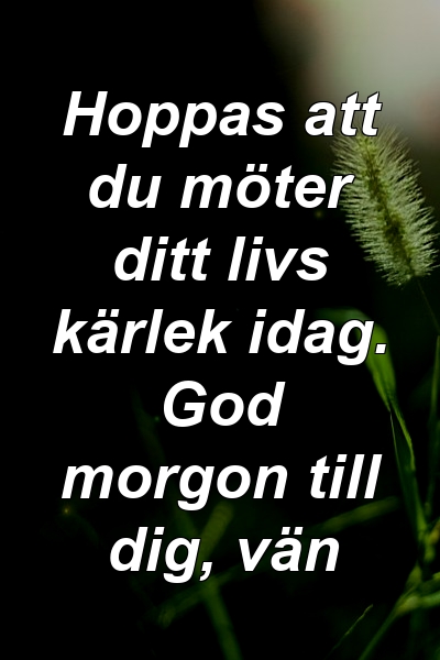 Hoppas att du möter ditt livs kärlek idag. God morgon till dig, vän