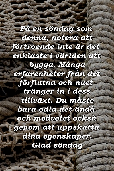 På en söndag som denna, notera att förtroende inte är det enklaste i världen att bygga. Många erfarenheter från det förflutna och nuet tränger in i dess tillväxt. Du måste bara odla det ändå och medvetet också genom att uppskatta dina egenskaper. Glad söndag