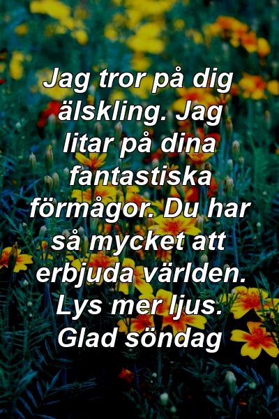 Jag tror på dig älskling. Jag litar på dina fantastiska förmågor. Du har så mycket att erbjuda världen. Lys mer ljus. Glad söndag