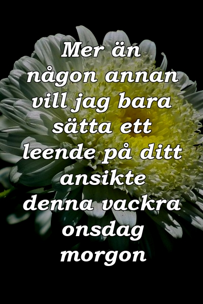 Mer än någon annan vill jag bara sätta ett leende på ditt ansikte denna vackra onsdag morgon