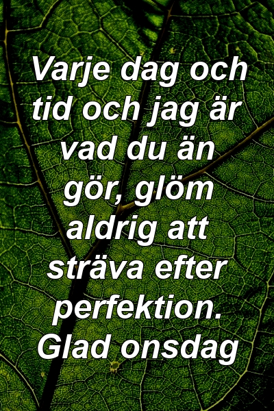 Varje dag och tid och jag är vad du än gör, glöm aldrig att sträva efter perfektion. Glad onsdag