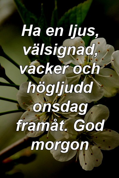 Ha en ljus, välsignad, vacker och högljudd onsdag framåt. God morgon