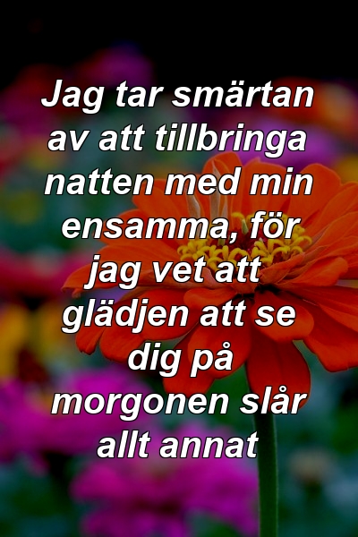 Jag tar smärtan av att tillbringa natten med min ensamma, för jag vet att glädjen att se dig på morgonen slår allt annat