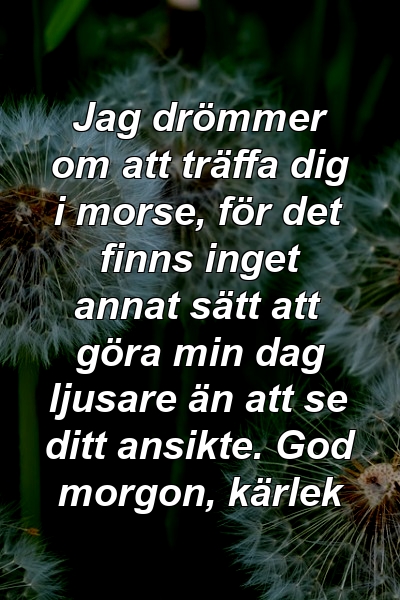 Jag drömmer om att träffa dig i morse, för det finns inget annat sätt att göra min dag ljusare än att se ditt ansikte. God morgon, kärlek