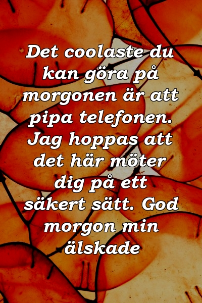 Det coolaste du kan göra på morgonen är att pipa telefonen. Jag hoppas att det här möter dig på ett säkert sätt. God morgon min älskade