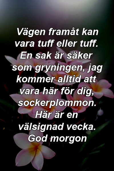 Vägen framåt kan vara tuff eller tuff. En sak är säker som gryningen, jag kommer alltid att vara här för dig, sockerplommon. Här är en välsignad vecka. God morgon